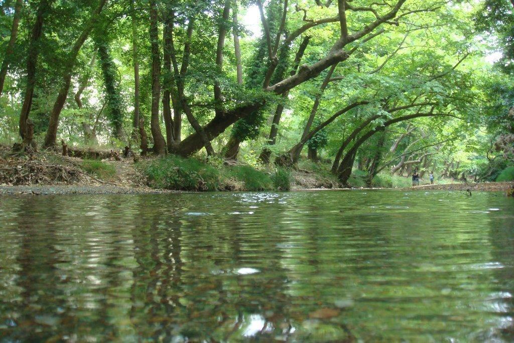 Kírinthos The Villa Averoff חדר תמונה